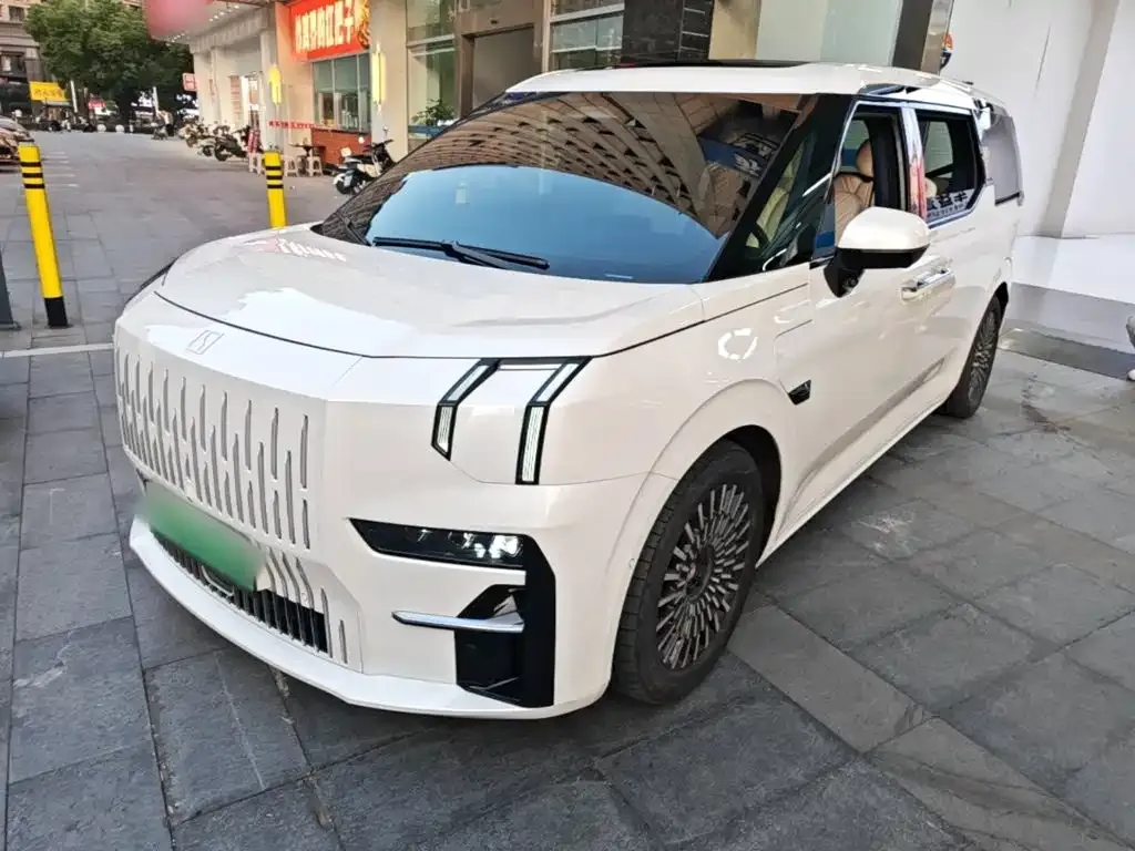 2022 Zeekr 009 WE