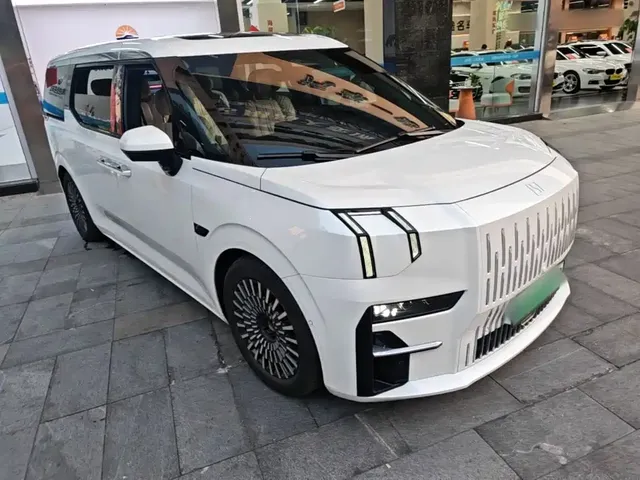 2022 Zeekr 009 WE