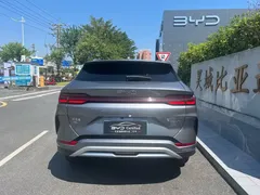 2024 BYD Song PLUS Honor DM-i PHEV 110km Flagship — фото 8