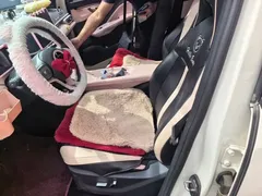 2025 BYD Seagull 305km Freedom, белый — фото 11