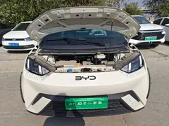 2025 BYD Seagull 305km Freedom, белый — фото 16