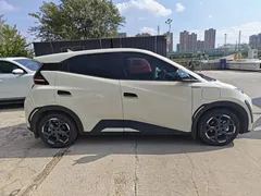 2025 BYD Seagull 305km Freedom, белый — фото 26