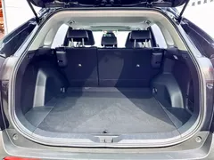 2020 Toyota RAV4 2.0L CVT 2WD Fashion Plus, чёрный — фото 25