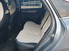 2024 BYD Destroyer 05 DM-i PHEV 55km Luxury — фото 13