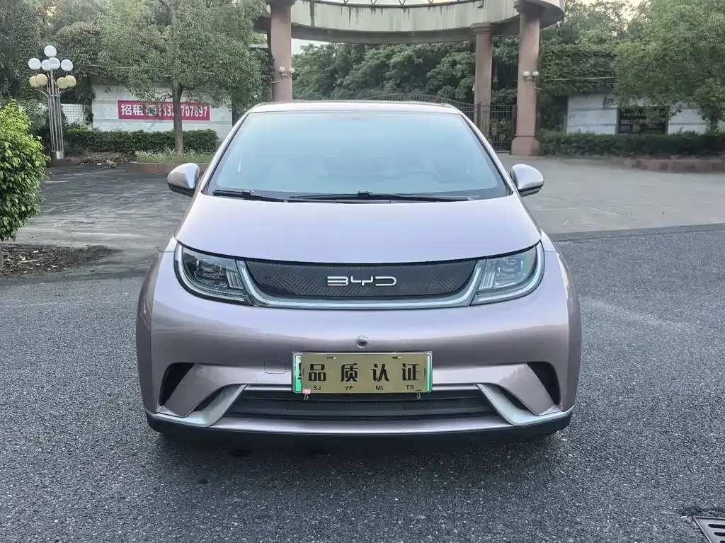 2021 BYD Dolphin EV 405km Freedom