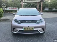 2021 BYD Dolphin EV 405km Freedom — фото 1