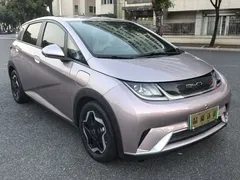 2021 BYD Dolphin EV 405km Freedom — фото 2