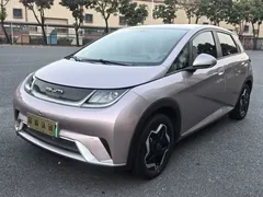 2021 BYD Dolphin EV 405km Freedom — фото 3