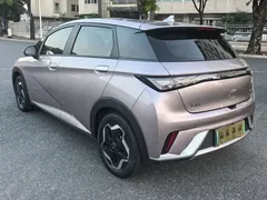 2021 BYD Dolphin EV 405km Freedom — фото 7