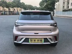 2021 BYD Dolphin EV 405km Freedom — фото 8