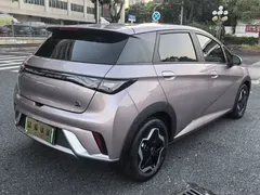 2021 BYD Dolphin EV 405km Freedom — фото 9