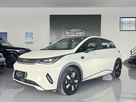 2025 BYD Dolphin Smart Driving 410km Fashion