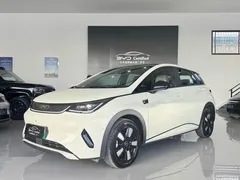 2025 BYD Dolphin Smart Driving 410km Fashion, белый — фото 1