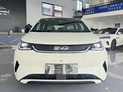 2025 BYD Dolphin Smart Driving 410km Fashion, белый — фото 2