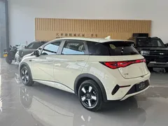 2025 BYD Dolphin Smart Driving 410km Fashion, белый — фото 4