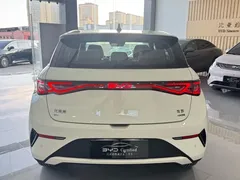 2025 BYD Dolphin Smart Driving 410km Fashion, белый — фото 5