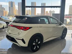 2025 BYD Dolphin Smart Driving 410km Fashion, белый — фото 7
