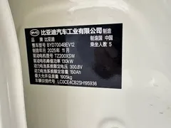 2025 BYD Dolphin Smart Driving 410km Fashion, белый — фото 12