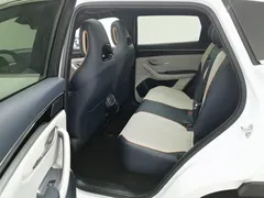 2024 BYD Song PLUS Honor DM-i PHEV 110km Flagship, белый — фото 15