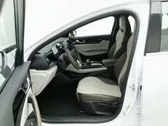 2024 BYD Qin PLUS Honor DM-i PHEV 55km Leading, белый — фото 10