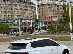 2024 BYD Song Pro Glory Edition DM-i PHEV 110km, белый — фото 18