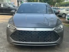 2023 BYD Qin PLUS Champion DM-i PHEV 55KM Leading — фото 2