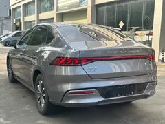 2023 BYD Qin PLUS Champion DM-i PHEV 55KM Leading — фото 4