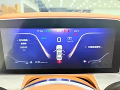 2022 Hongqi H9 2.0T Smart Connect Qichang, чёрный — фото 11