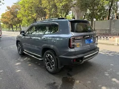 2021 Haval Dargo 2.0T DCT 4WD — фото 4
