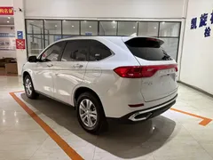 2023 Haval M6 Plus 1.5T DCT Elite, белый — фото 6