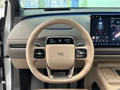 2025 Li Auto i6 2WD Standard — фото 16