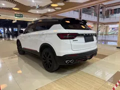 2021 Geely Coolray 1.4T DCT Diamond, белый — фото 5