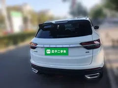 2021 Geely Coolray 1.4T DCT Diamond, белый — фото 3