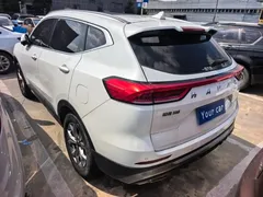 2021 Haval H6 1.5T AT Champion, белый — фото 4