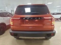 2021 Haval Dargo 1.5T DCT 2WD Border Collie — фото 6