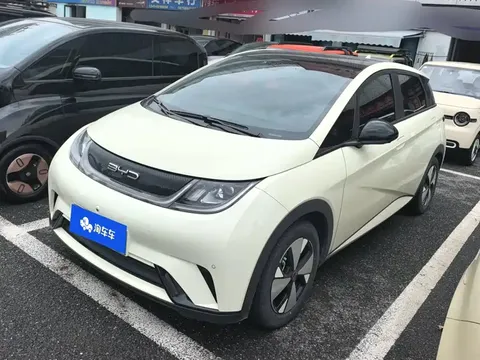 2023 BYD Dolphin 420km Fashion
