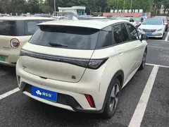 2023 BYD Dolphin 420km Fashion — фото 3