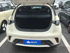 2023 BYD Dolphin 420km Fashion — фото 4