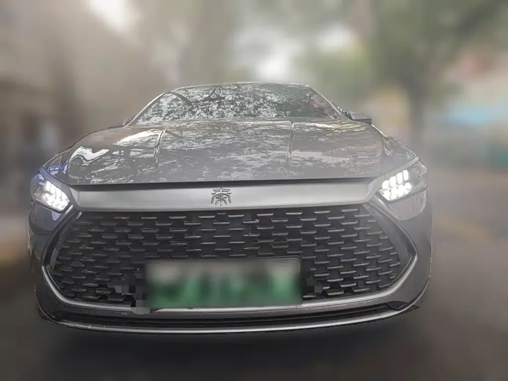 2024 BYD Qin PLUS Honor DM-i PHEV 55km Leading