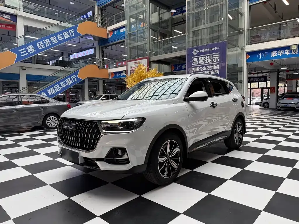 2023 Haval H6 1.5T AT Guochao Champion