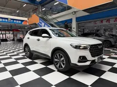 2023 Haval H6 1.5T AT Guochao Champion, белый — фото 3