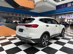 2023 Haval H6 1.5T AT Guochao Champion, белый — фото 5