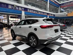 2023 Haval H6 1.5T AT Guochao Champion, белый — фото 6