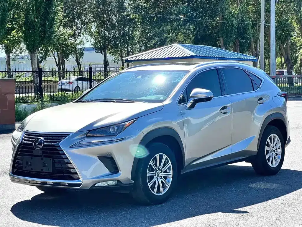 2020 Lexus NX 200 4WD Fashion China VI
