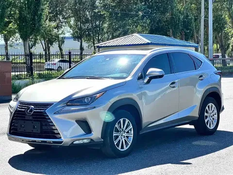 2020 Lexus NX 200 4WD Fashion China VI