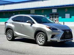 2020 Lexus NX 200 4WD Fashion China VI — фото 3