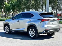 2020 Lexus NX 200 4WD Fashion China VI — фото 6
