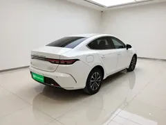 2023 BYD Destroyer 05 Champion DM-i PHEV 55km Luxury, белый — фото 4