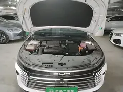 2023 BYD Destroyer 05 Champion DM-i PHEV 55km Luxury, белый — фото 16