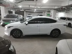 2023 BYD Destroyer 05 Champion DM-i PHEV 55km Luxury, белый — фото 25